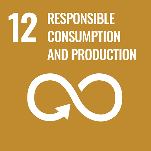 RESPONSIBLE CONSUMPTION & PRODUCTION: